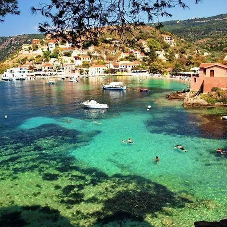 Albatross Τραπεζάκι